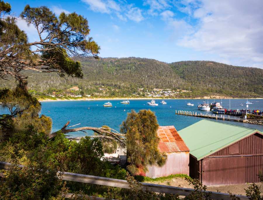 Bicheno có khí hậu ôn hòa, thích hợp với các hoạt động ngoài trời