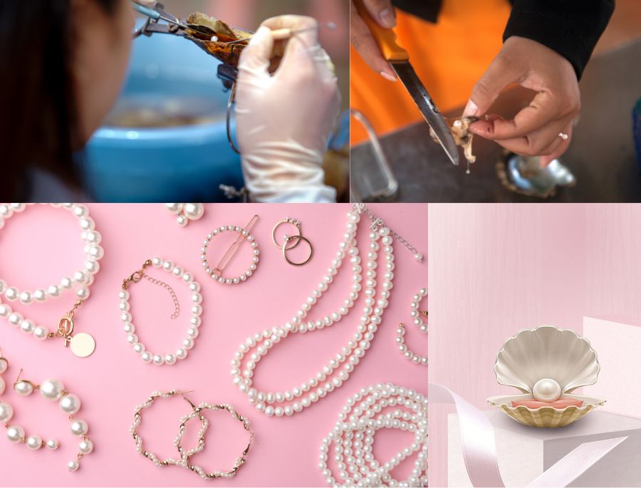 Ngọc trai là 1 món quà tặng ý nghĩa và giá trị sau chuyến du lịch úc của bạn dành cho Bạn Bè và người thân