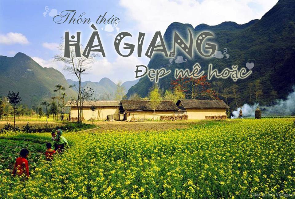 Chiêm ngưỡng "thiên đường hoa" trên cao nguyên đá Hà Giang