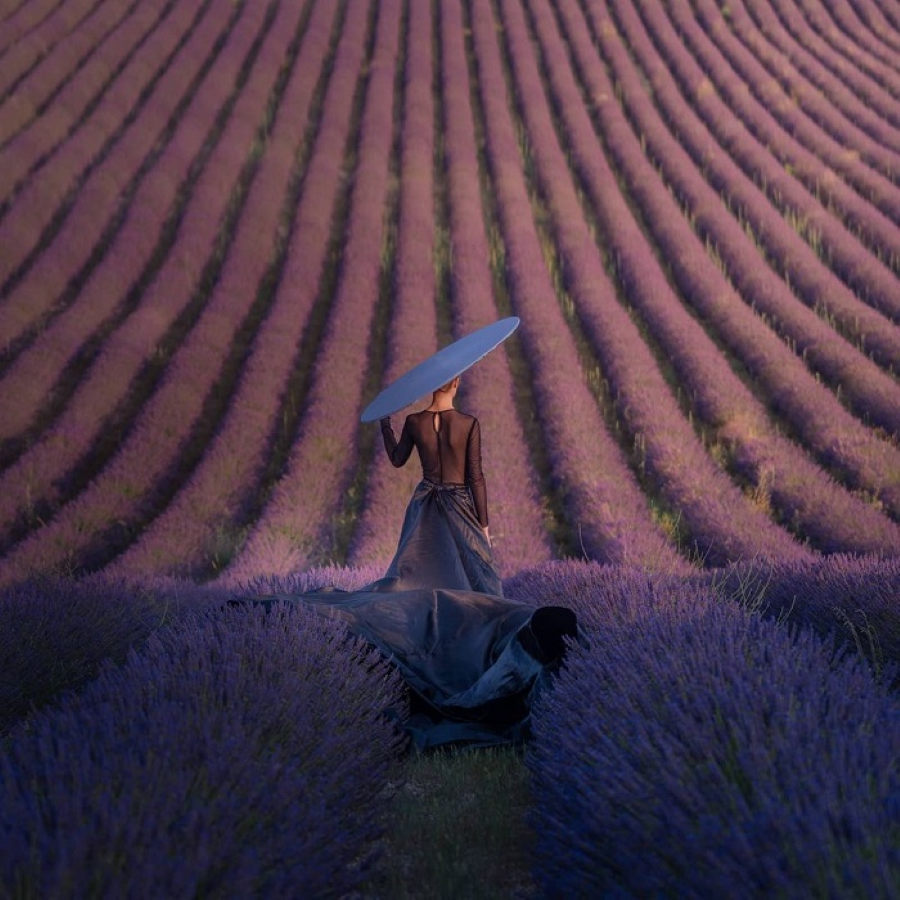 Oải hương từ lâu đã nổi tiếng là một trong những mùa hoa siêu đẹp tại Châu Âu