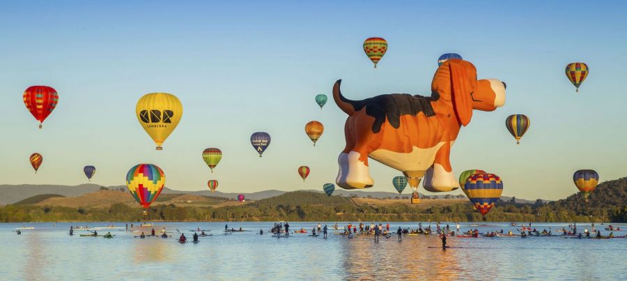 Bạn sẽ được tận mắt ngắm nhìn những chiếc khinh khí cầu không cầu đang “cất cánh” bay lên cao