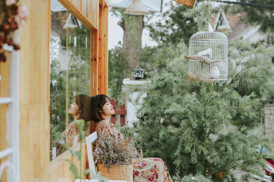 Thưởng thức trà trong căn nhà gỗ ngập tràn hoa Daisy giữa lòng Đà Lạt