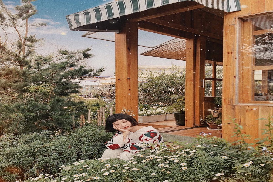 Thưởng thức trà trong căn nhà gỗ ngập tràn hoa Daisy giữa lòng Đà Lạt