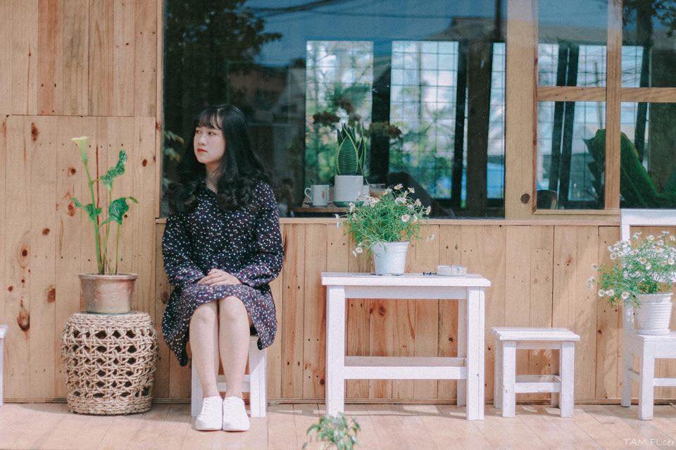 Thưởng thức trà trong căn nhà gỗ ngập tràn hoa Daisy giữa lòng Đà Lạt