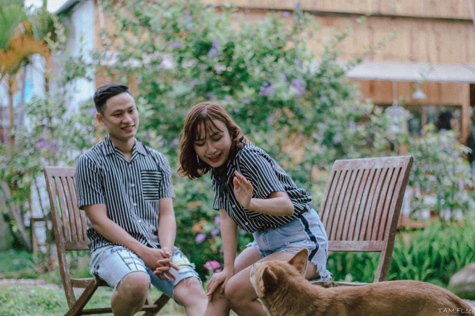 Thưởng thức trà trong căn nhà gỗ ngập tràn hoa Daisy giữa lòng Đà Lạt