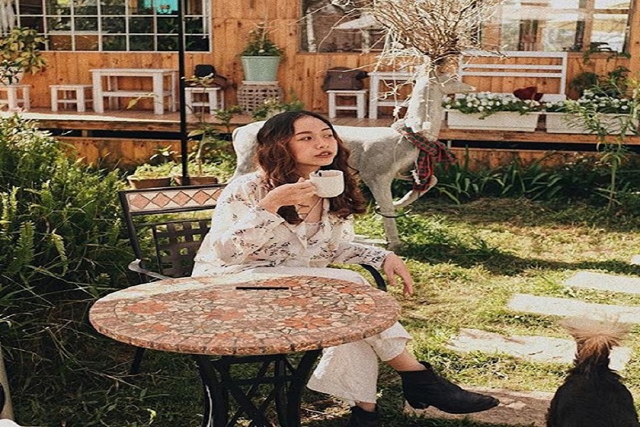Thưởng thức trà trong căn nhà gỗ ngập tràn hoa Daisy giữa lòng Đà Lạt