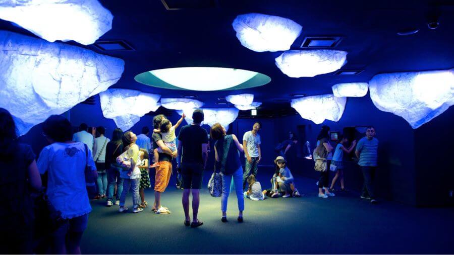 Hành trình khám phá đại dương Thái Bình Dương tại thủy cung Kaiyukan Osaka là một trải nghiệm đầy ấn tượng