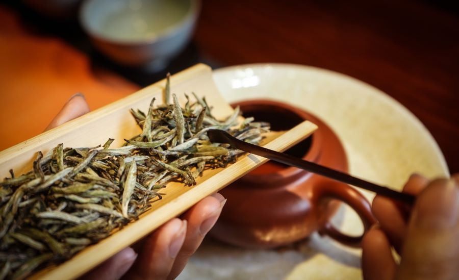 Trà Bạch Hào Ngân Châm - Tuyệt đỉnh thanh tao từ đất Trà