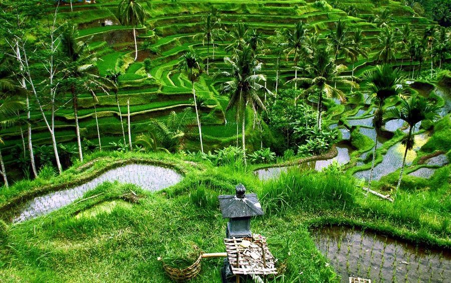 Tại Bali có hai mùa là mùa khô và mùa cao điểm