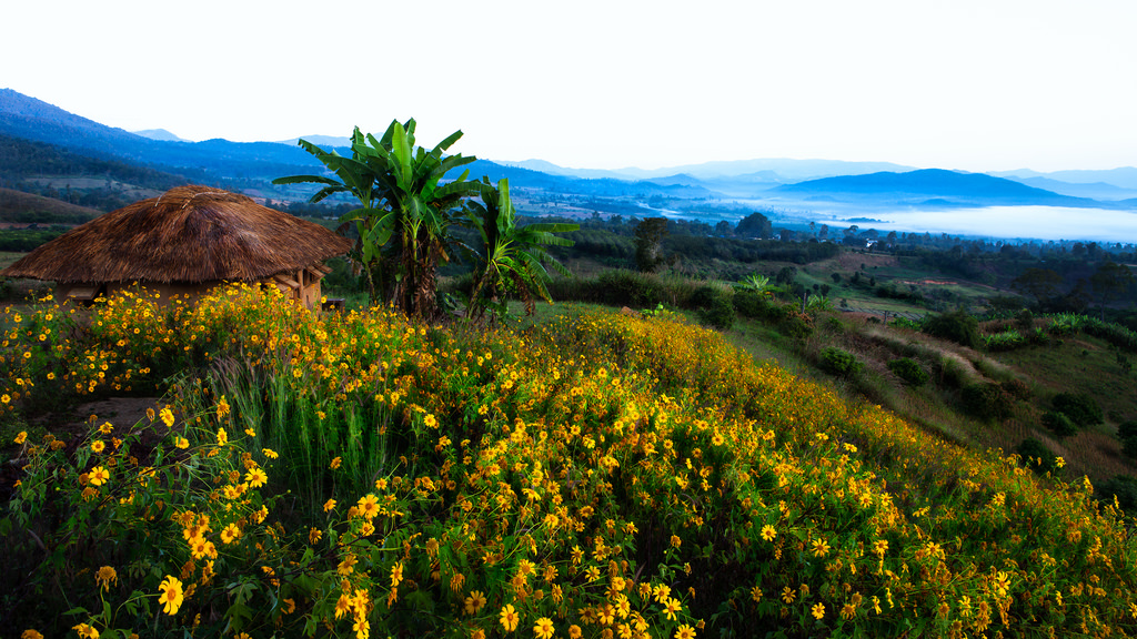 Tôi yêu Pai ngay khi đặt chân lên mảnh đất Thái Lan
