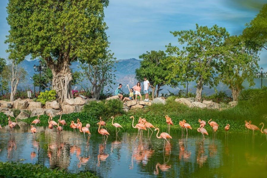 Khu vườn động vật King’s Garden – địa điểm du lịch Nha Trang thú vị