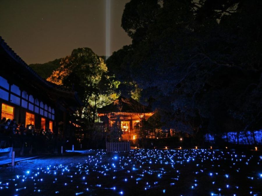 Higashiyama Hanatouro là một trong những lễ hội ánh sáng mùa xuân huyền ảo tại Nhật Bản