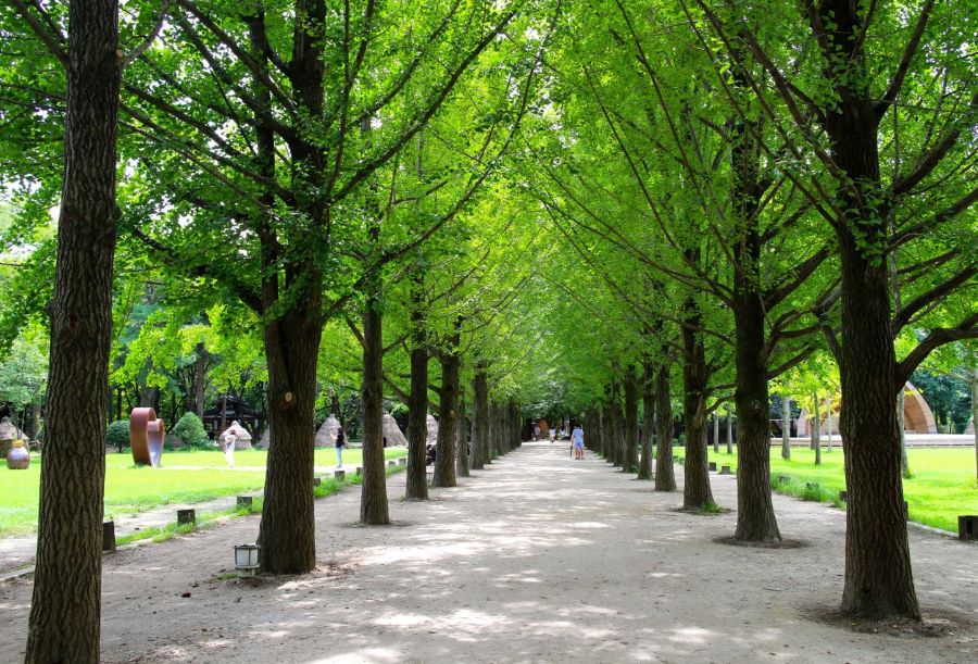 Tổng hợp các tour du lịch Hàn Quốc 5N4Đ Top Ten Travel