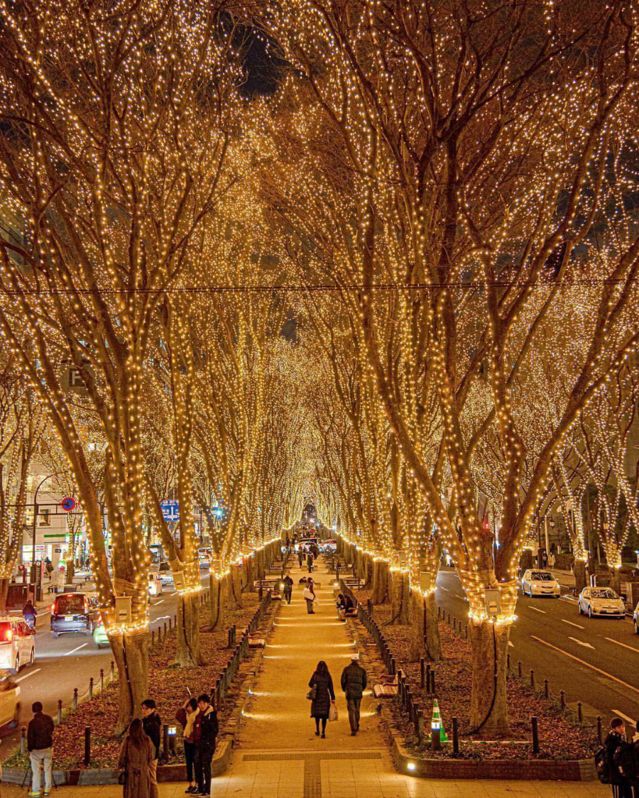 Lễ hội chiếu sáng Sendai, diễn ra vào tháng 12 hàng năm tại thành phố Sendai, tỉnh Miyagi, Nhật Bản