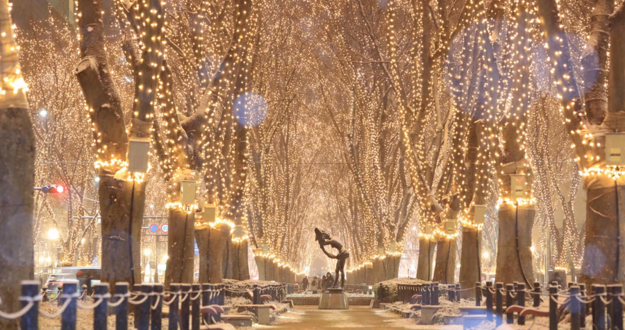 Lễ hội chiếu sáng Sendai là một trong những sự kiện mùa đông được mong đợi nhất tại đất nước này