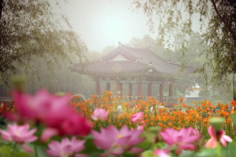 Lễ hội tháng 7 tại Hàn Quốc luôn thu hút đông đảo du khách đến khám phá mỗi năm