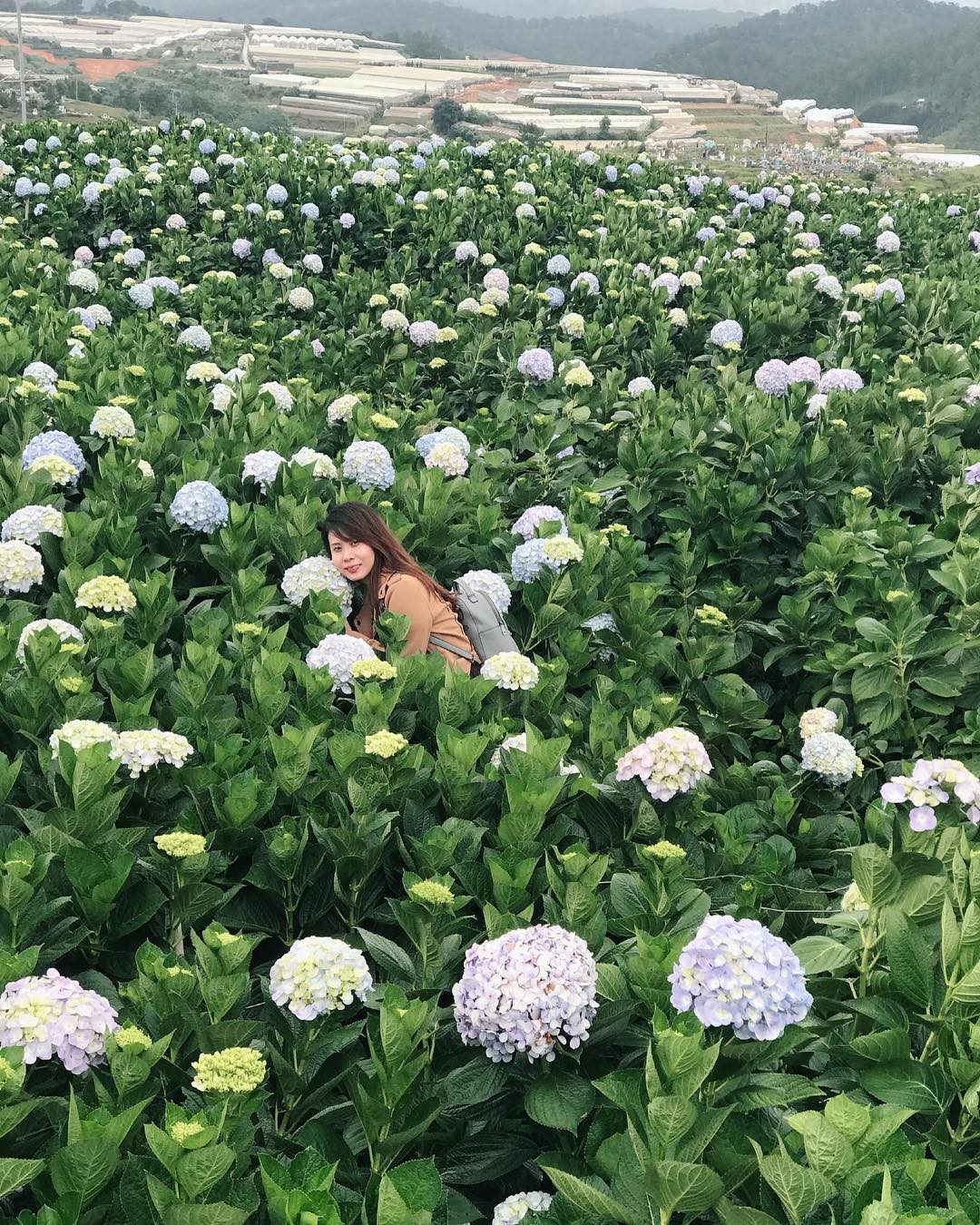 Vườn hoa thu hút được rất nhiều du khách tới tham quan