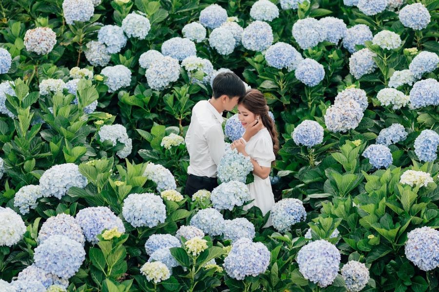 Những bức ảnh ngọt ngào của các couple