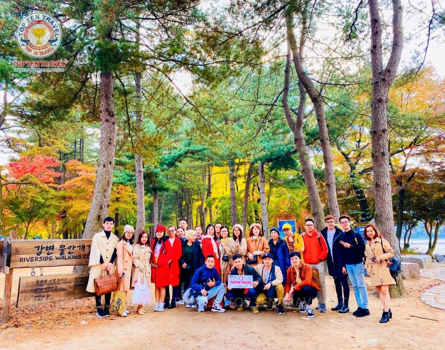 Đoàn khách tham gia tour du lịch khám phá mùa thu Hàn Quốc tại Top Ten Travel