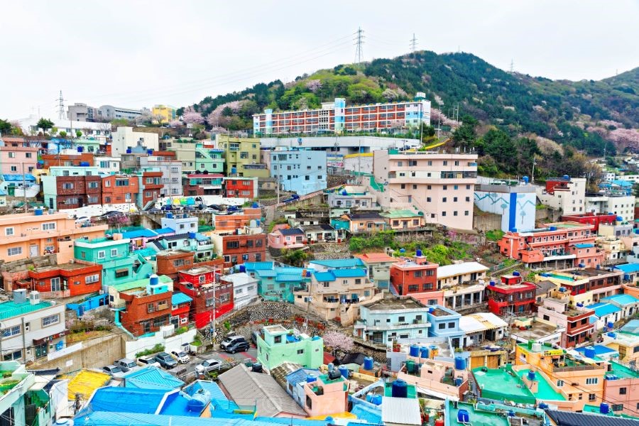 Ngỡ ngàng trước vẻ đẹp của Làng văn hóa sắc màu Gamcheon