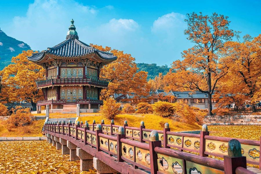 Vườn thượng uyển tại Gyeongbokgung lộng lẫy khi thu về