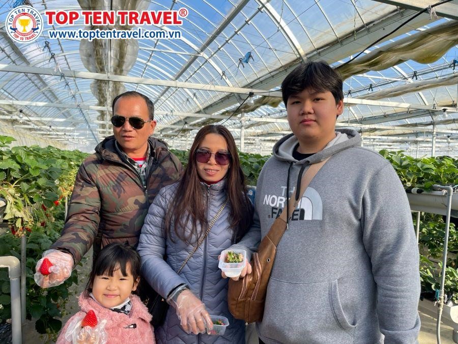 Tổng hợp tour du lịch Nhật Bản giá rẻ Top Ten Travel