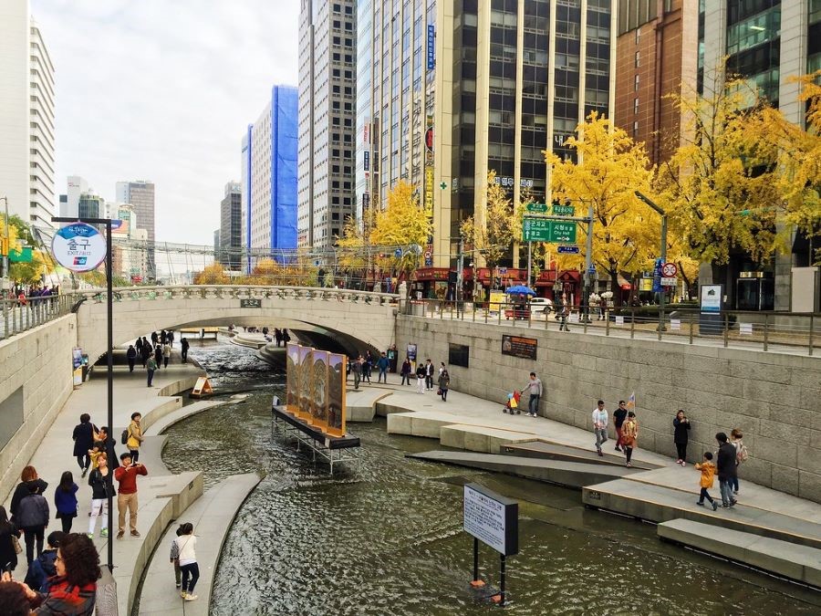 Dòng suối tự nhiên vô cùng thơ mộng ẩn mình giữa những tòa nhà chọc trời hiện đại 