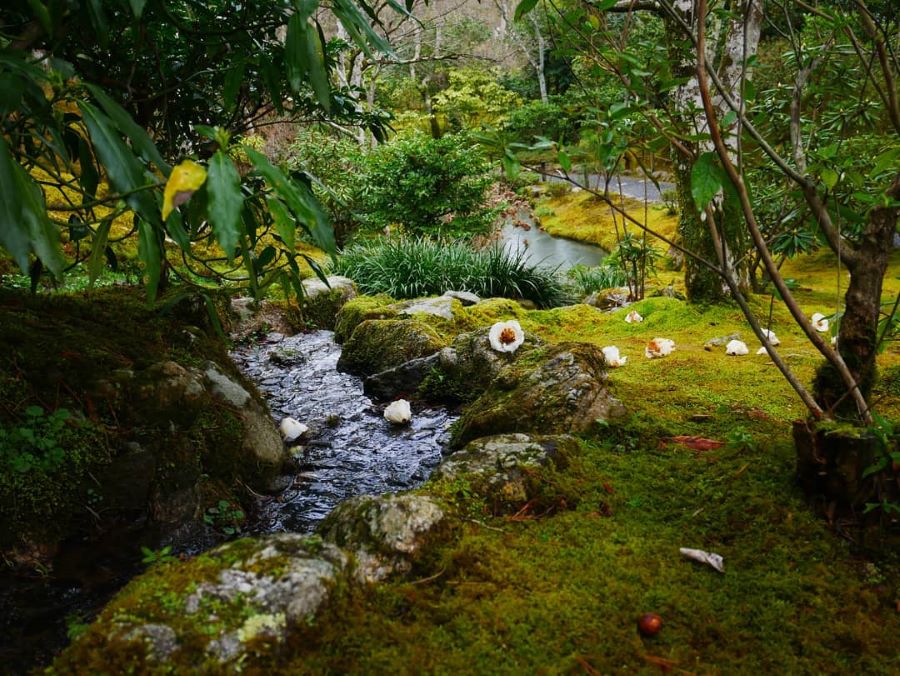 Không chỉ là một điểm ngắm cảnh, Công Viên Kameyama còn là nơi lý tưởng để tản bộ và thư giãn