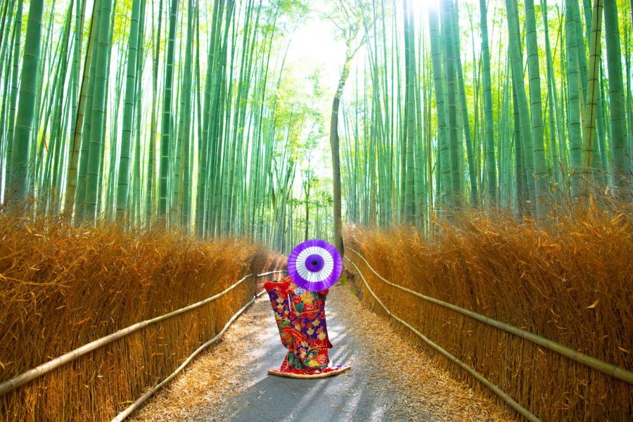 Rừng Tre Arashiyama nằm ở phía tây Kyoto, nổi tiếng với con đường đi bộ xuyên qua khu rừng tre xanh mướt
