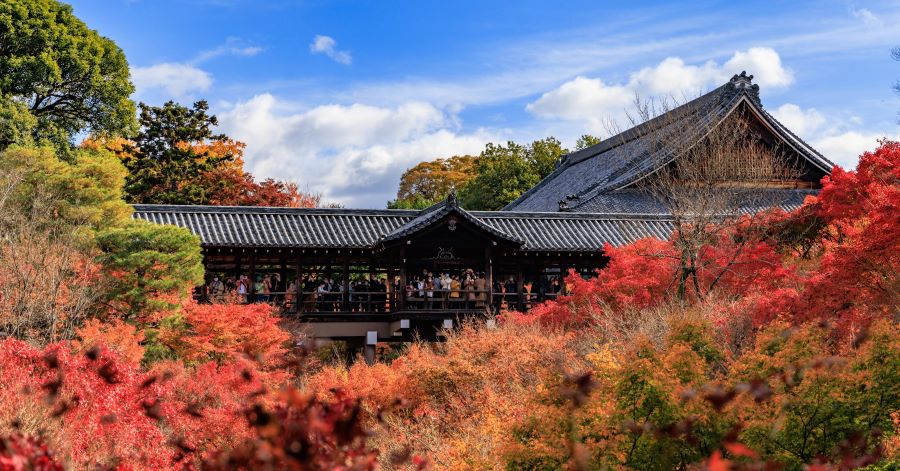 Cây cầu Tsutenkyo là nơi bạn có thể ngắm nhìn toàn bộ thung lũng cây phong rực rỡ sắc đỏ