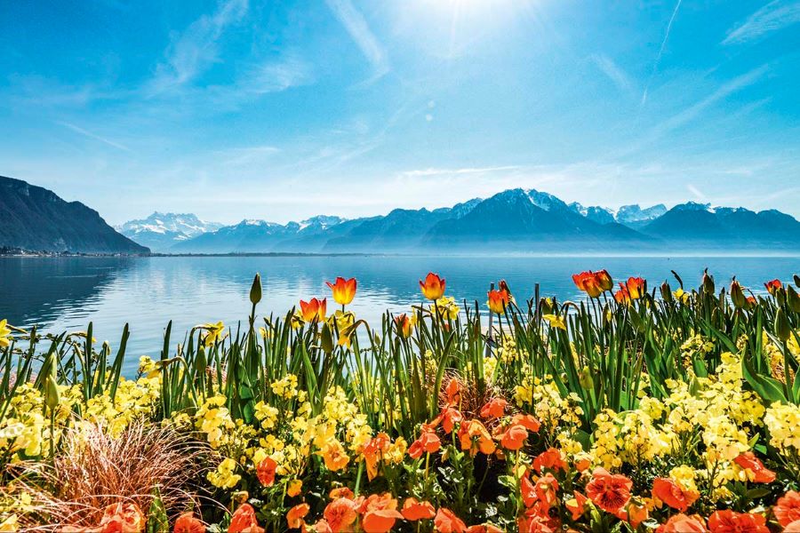 Montreux là một thành phố tuyệt đẹp nằm ngay bên cạnh bờ hồ Geneva mộng mơ
