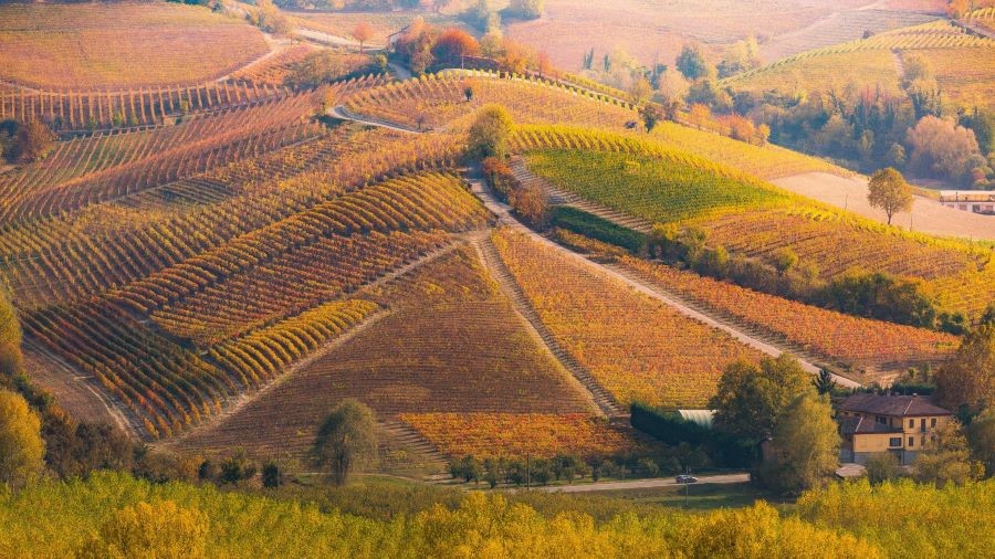 Khung cảnh nên thơ, trữ tình của mùa thu Piedmont