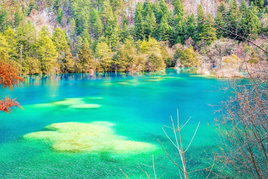 Cửu Trại Câu sở hữu vẻ đẹp đầy thi vị và thoát tục làm mê mẩn lòng người