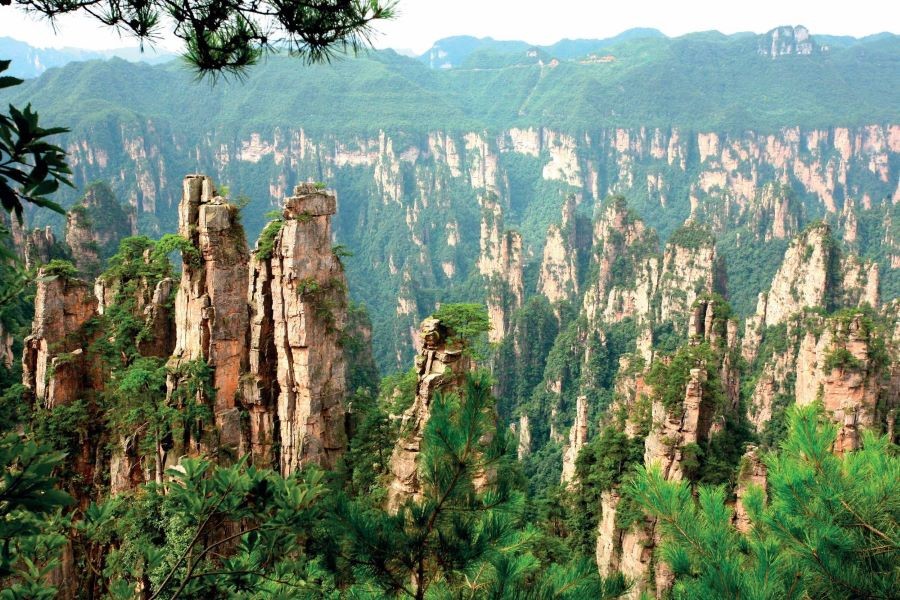 Công viên Trương Gia Giới sở hữu hơn 3000 cột đá đa dạng hình thù