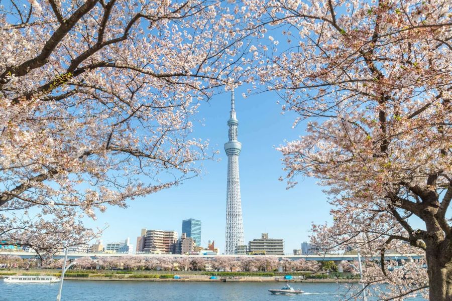 Vẻ đẹp nao lòng người của Tòa tháp Skytree