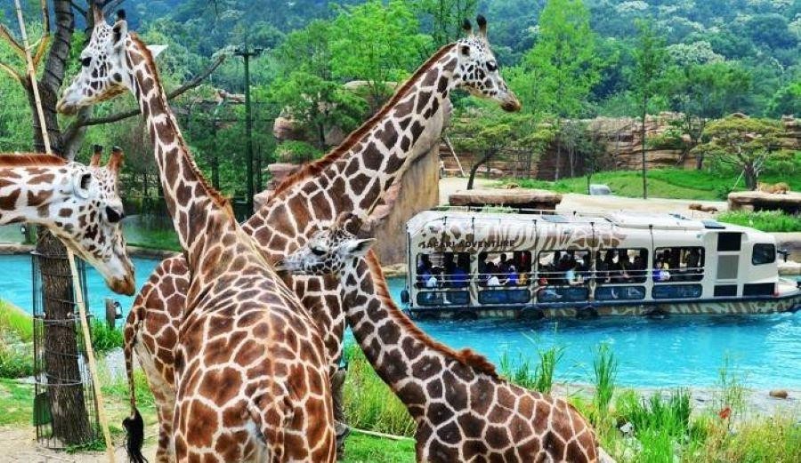 Du khách sẽ được ngồi thuyền ngắm các loài động vật hoang dã