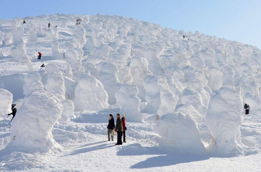 Lễ hội Zao Juhyo - một trong những lễ hội tuyết lớn nhất Nhật Bản