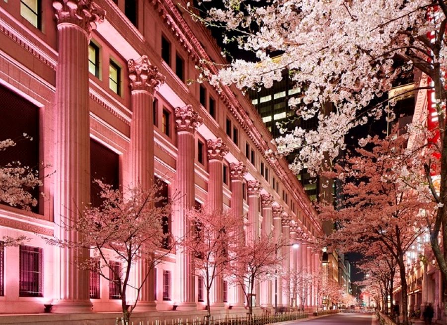 Khung cảnh lung linh đẹp tựa tranh vẽ phía ngoài Khách sạn Mandarin Oriental Tokyo