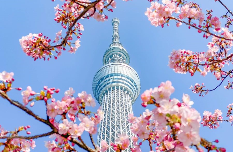 Tòa tháp Tokyo Sky Tree - tháp truyền hình cao nhất thế giới và là một biểu tượng nổi tiếng ở thủ đô của xứ sở Phù Tang