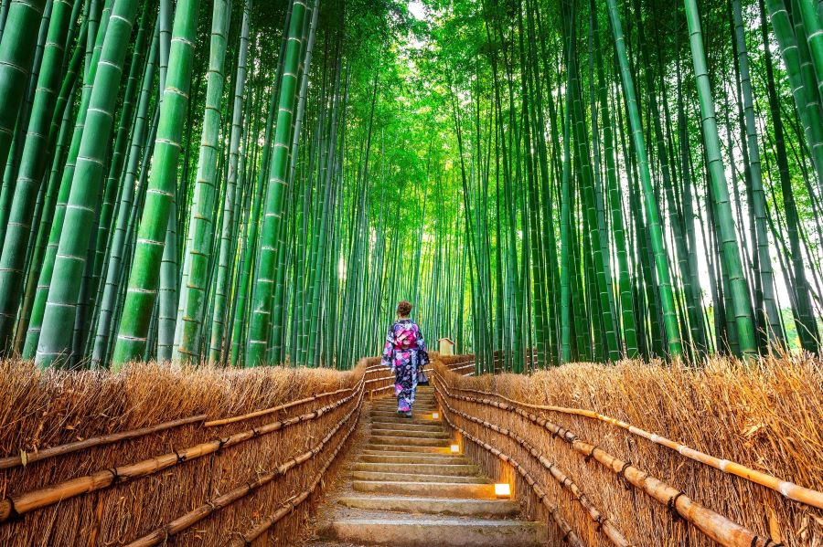 Rừng trúc Arashiyama được mệnh danh là một trong những điểm đến độc đáo nhất ở Kyoto