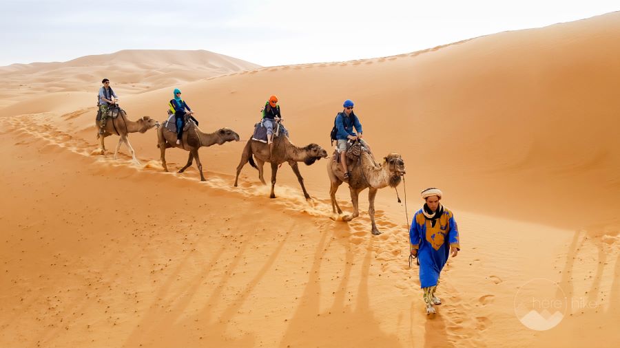 Du khách đừng bỏ lỡ trải nghiệm cưỡi lạc đà trên sa mạc Sahara nhé 