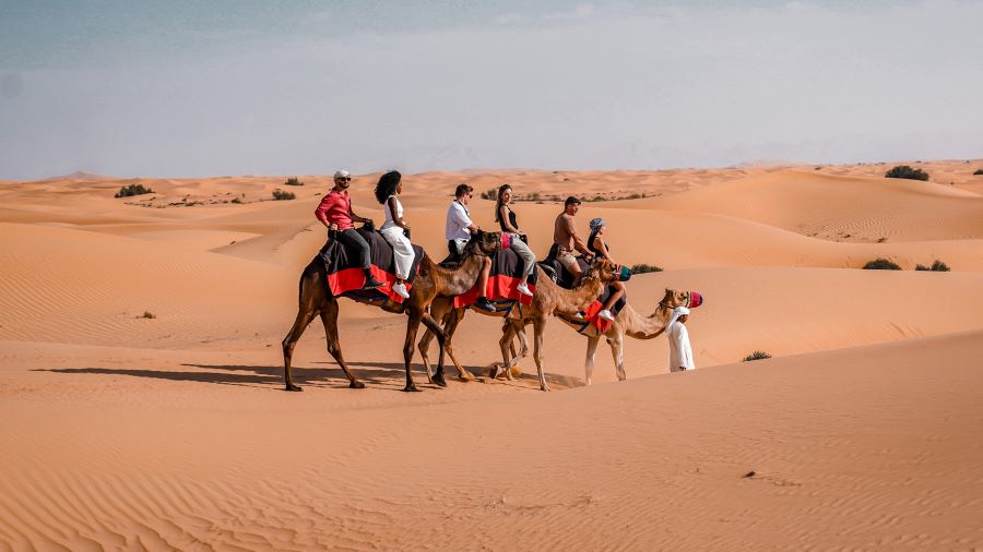 Du khách có thể trải nghiệm cưỡi lạc đà khám phá cung đường sa mạc tuyệt đẹp 
