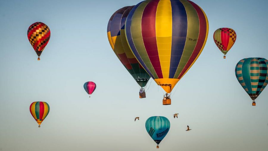 Canberra Balloon Festival được biết đến là Lễ hội khinh khí cầu Canberra