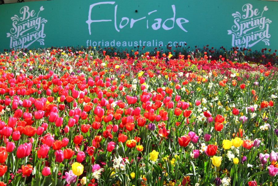 Hằng năm, chủ đề của Floriade Flower Festival được thiết kế vô cùng độc đáo