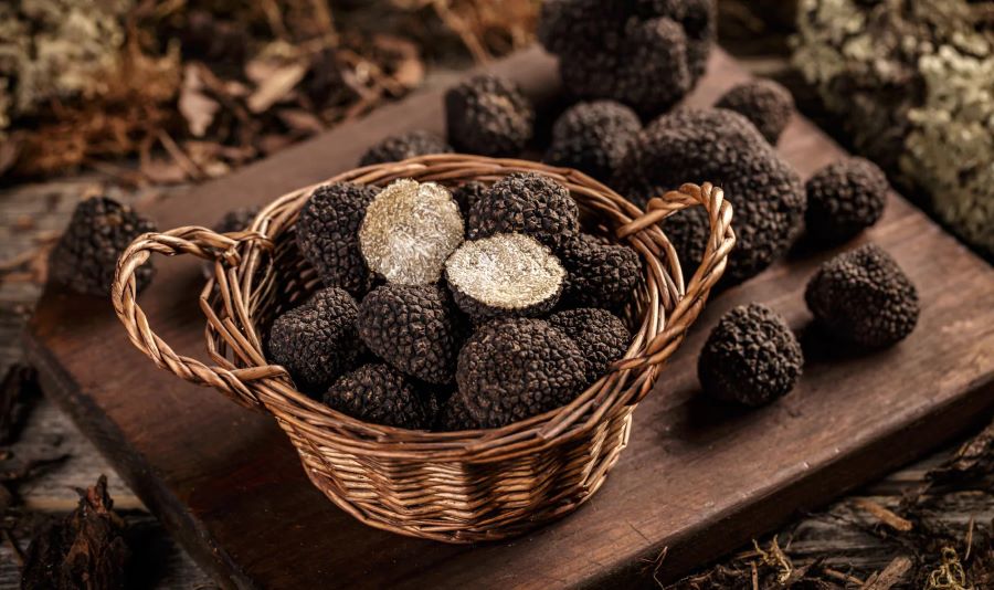 The Truffle Festival hay còn được gọi là Lễ hội nấm cục tại Canberra
