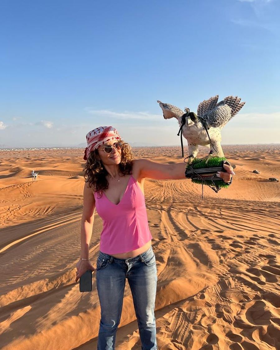 Sa mạc Safari là một khu vực rộng lớn với những cồn cát tuyệt đẹp, nằm ngay bên ngoài thành phố Dubai