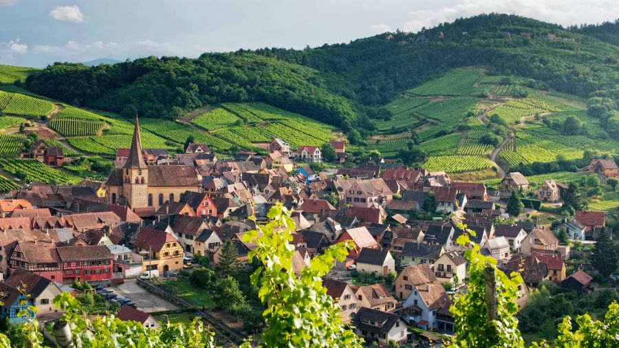 Nằm ở phía Đông nước Pháp, Alsace cũng là điểm đến sở hữu những vườn nho Pháp đẹp nhất 