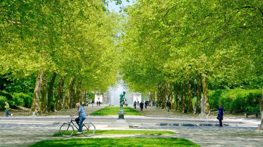 Công viên Brussels được phủ xanh hoàn toàn bởi những hàng cây cổ thụ vĩ đại