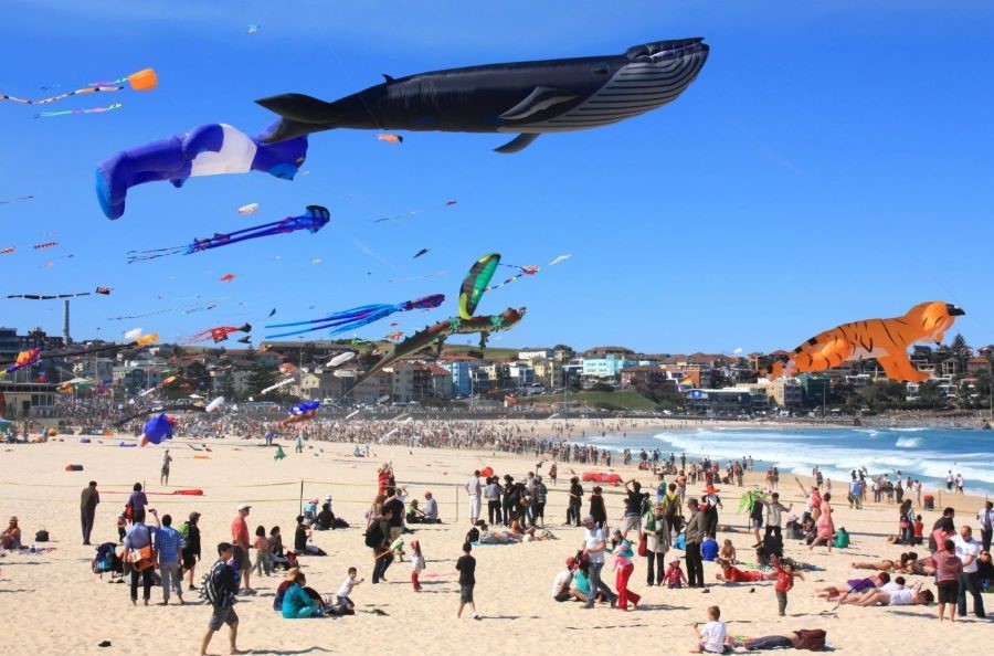 Lễ hội Bondi Beach Festival - điểm đến không thể bỏ qua vào mùa hè