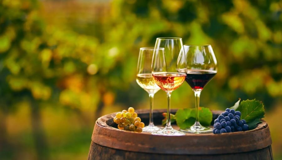 Đừng quên thưởng thức những ly rượu ngon nhất từ các nhà máy hàng đầu nơi đây bạn nhé!